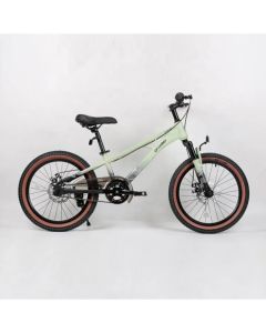 WINNER BIKE BIC.20