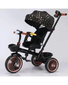 WINNER BIKE BIC.T18 TRIKE BLACK - BCK0310