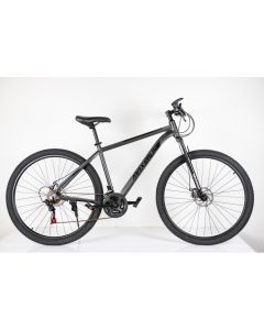 WINNER BIKE BIC. 29