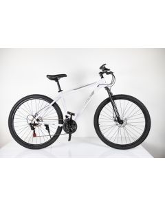 WINNER BIKE BIC. 29