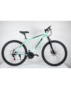 WINNER BIKE BIC. 29
