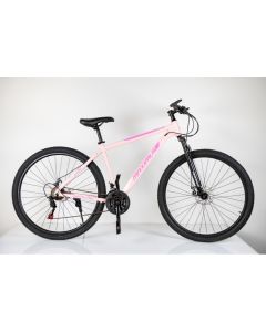 WINNER BIKE BIC. 29