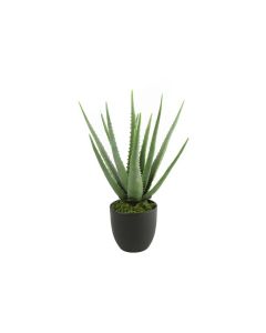 DEKOR DOM Cvet u saksiji ALOE 49cm 768198 - Green - DCS