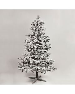 Novogodišnja jelka Kraljevska 180 cm