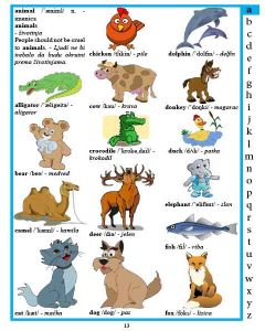 Dečji ilustrovani rečnik engleskog jezika - 791