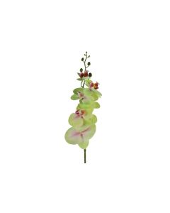 DEKOR DOM Cvet 83cm Orchid, zelena - 040179
