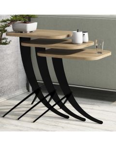 HANAH HOME Set klub stolova Pion, svetlobraon/crna