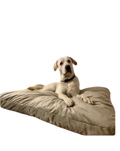 SPOTT PET Dušek 140x90cm, krem