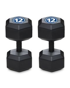 Iron Sport Bucice set 24kg, Hex tegovi, 2x12kg - HEXB024