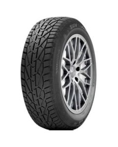 TIGAR Zimska guma 255/50R19 WINTER SUV 107V XL - 91494489