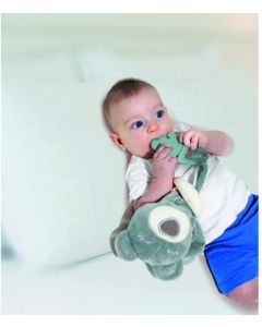 BABYJEM Plišana igračka Sweet Bear sa glodalicom - green - 92-36807
