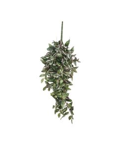 DEKOR DOM Cvet TRADESCANTIA 80cm 953284 - Green - EDL