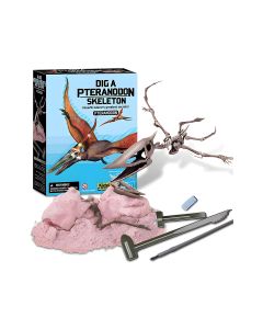 4m iskopaj pteranodaktila