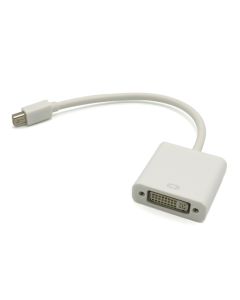 Adapter Mini DisplayPort M na DVI F, bela - AD327