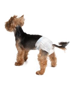 Farmcompany Pelene ženske gaće L   B-VAR 251