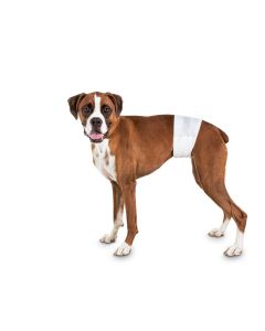 Farmcompany Pelene za mužjake  B-VAR253