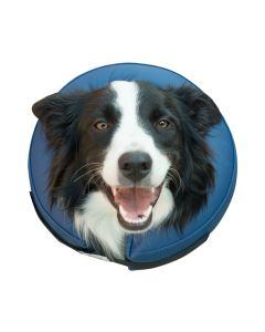 Famcompany Zaštitna kragna-okovratnik L B-VAR259