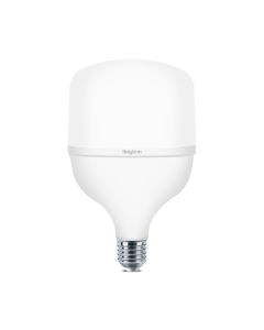 BRAYTRON LED sijalica BRY-ADVANCE-20W-E27-T80-PLS-4000K