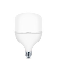 BRAYTRON LED sijalica BRY-ADVANCE-40W-E27-T120-PLS-4000K