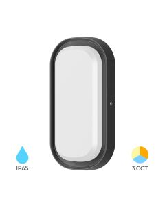 BRAYTRON LED spoljna zidna lampa BRY-BULKHEAD-12W-ELP-BLC-3IN1-IP65