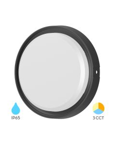 BRAYTRON LED spoljna zidna lampa BRY-BULKHEAD-12W-RND-BLC-3IN1-IP65