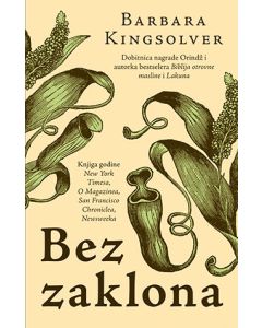 Bez zaklona - 9788652133581
