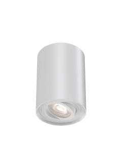 BRAYTRON LED spot svetiljka BRY-GAMA-9412-RND-WHT-GU10