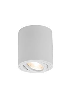 BRAYTRON LED spot svetiljka BRY-GAMA-8010-RND-WHT-GU10