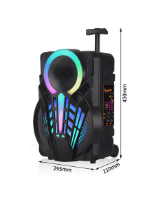 Bluetooth zvučnik karaoke set sa mikrofonom NDR-P08 crni - 605935