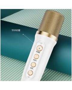 Bluetooth zvučnik karaoke set sa mikrofonom YS-103 roze - 060161-1