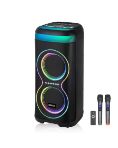 Bluetooth zvučnik NDR-815 50W crni