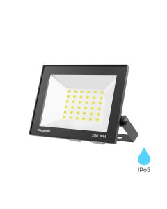 BRAYTRON LED reflektor BRY-FLOOD-CF-30W-BLC-6500K-IP65