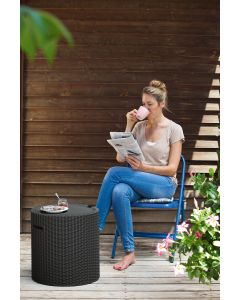 KETER Tabure frigo Cool Stool 39L, braon - CU230904-1