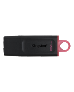 USB Flash Kingston 256GB DataTraveler Exodia USB 3.2, DTX/256GB
