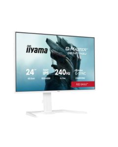 Monitor 24