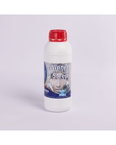 DIASA Diainver Wintersleep zimska hemija za bazen 1L