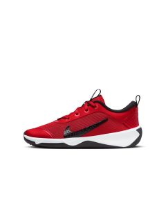 NIKE Patike omni multi-court BG - DM9027-60136