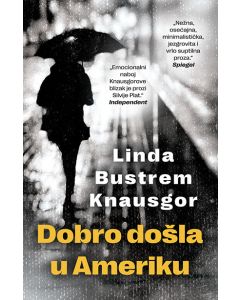 Dobro došla u Ameriku - 9788652138760