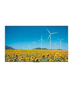 HISENSE 50 inča 50DP30FE 4K UHD 350 nita Digital Signage Display - 16/7 Operation