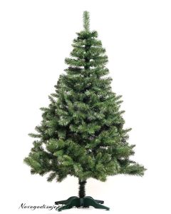 Novogodišnja jelka Evergreen 120 cm