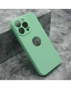 Futrola Color Vision za iPhone 13 Pro, zelena - F106889