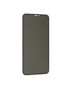 Folija za zaštitu ekrana Glass Privacy 2.5D Full glue za Iphone XR/11, crna - FL8647