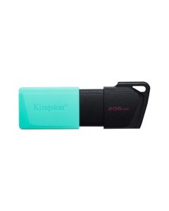 KINGSTON USB Flash memorija Data Traveler Exodia  3.2 256GB DTXM/256 M