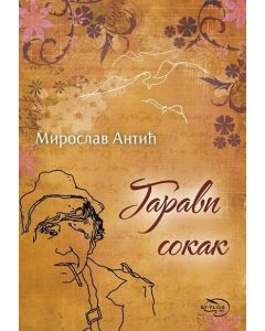 Garavi sokak - 9788652136452