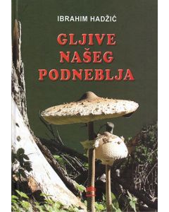 Gljive našeg podneblja
