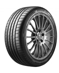 GOODYEAR Letnja guma 225/55 R16 95W EF.GR.PERF