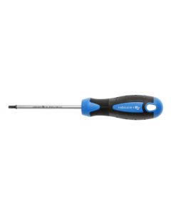HOGERT Odvijač Torx t10 100 mm - HT1S053