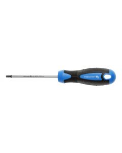HOGERT Odvijač Torx t15 100 mm - HT1S054
