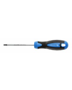 HOGERT Odvijač Torx t20 100 mm - HT1S055