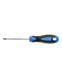HOGERT Odvijač Torx t25 100 mm - HT1S056